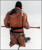 Seal Killer